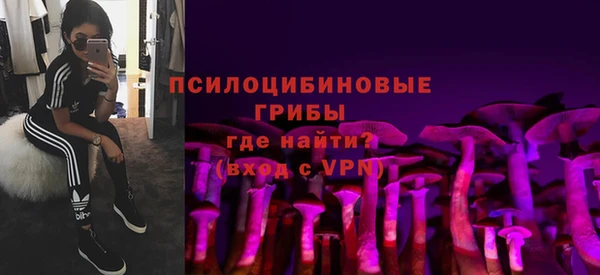 spice Горно-Алтайск