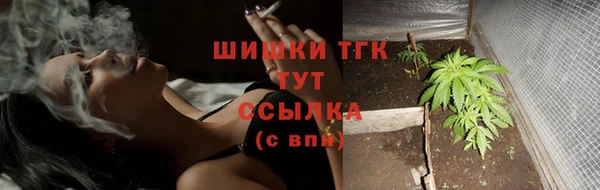 тгк Горняк