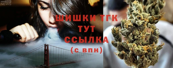 тгк Горняк