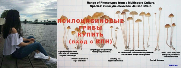 бошки Горнозаводск