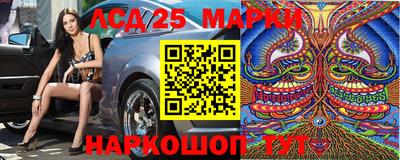 крисы Краснодар