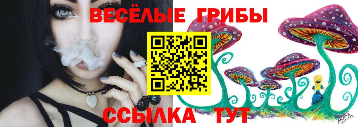 Псилоцибиновые грибы ЛСД Моршанск