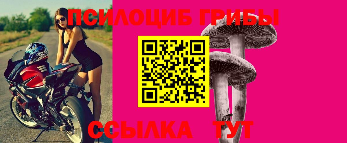 Галлюциногенные грибы Cubensis Моршанск