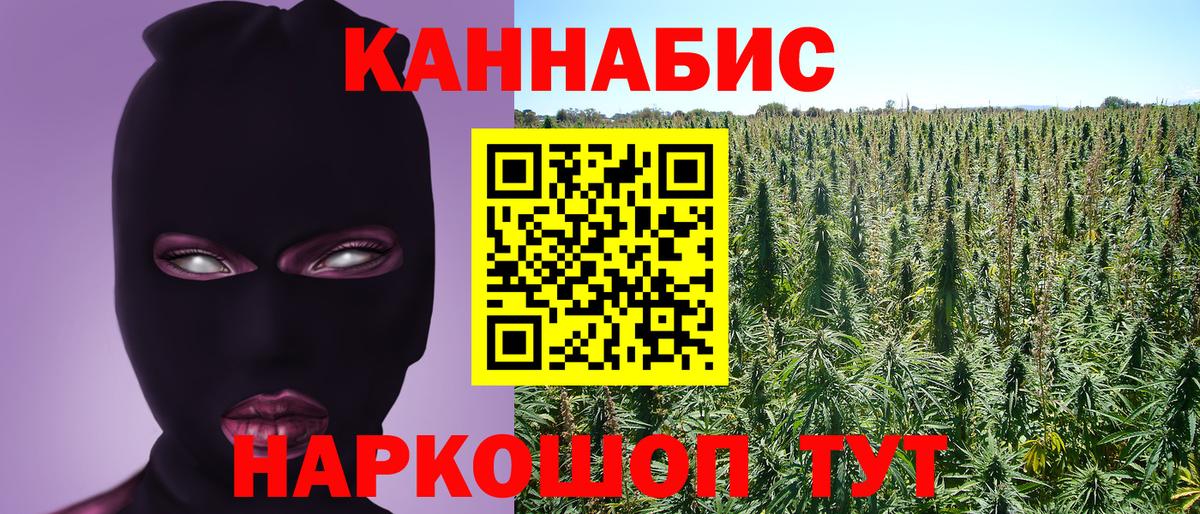 Шишки марихуана план  Конопля MAZAR  Моршанск  Марихуана Ganja  Шишки марихуана индика 