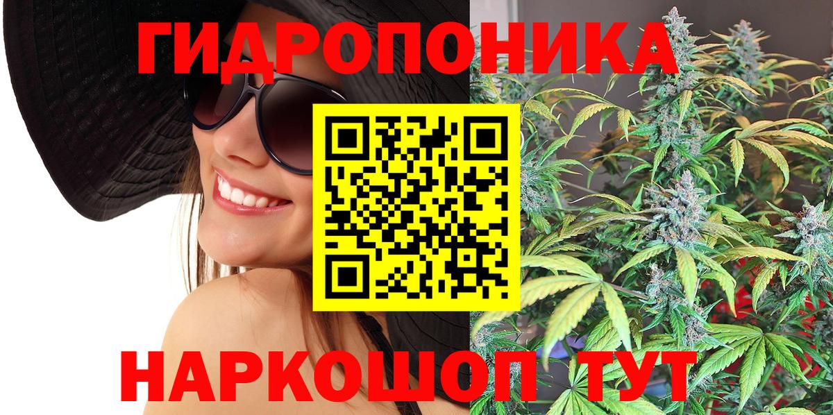 Шишки марихуана конопля  Каннабис White Widow  Вход с VPN  Моршанск  Канабис индика  Бошки марихуана план 